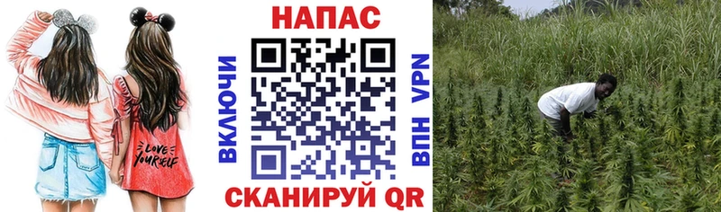 Где купить наркоту Щёлкино МАРИХУАНА СОЛЬ ГАШ Меф АМФ Cocaine