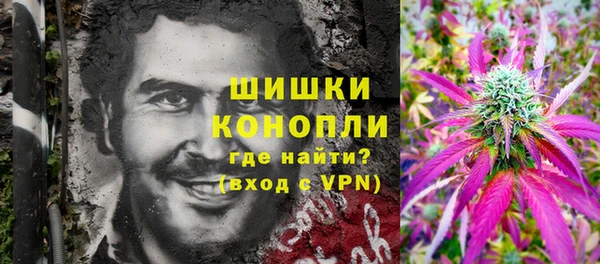 МДПВ Краснослободск
