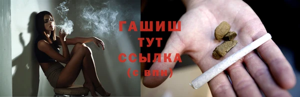 МДПВ Краснослободск